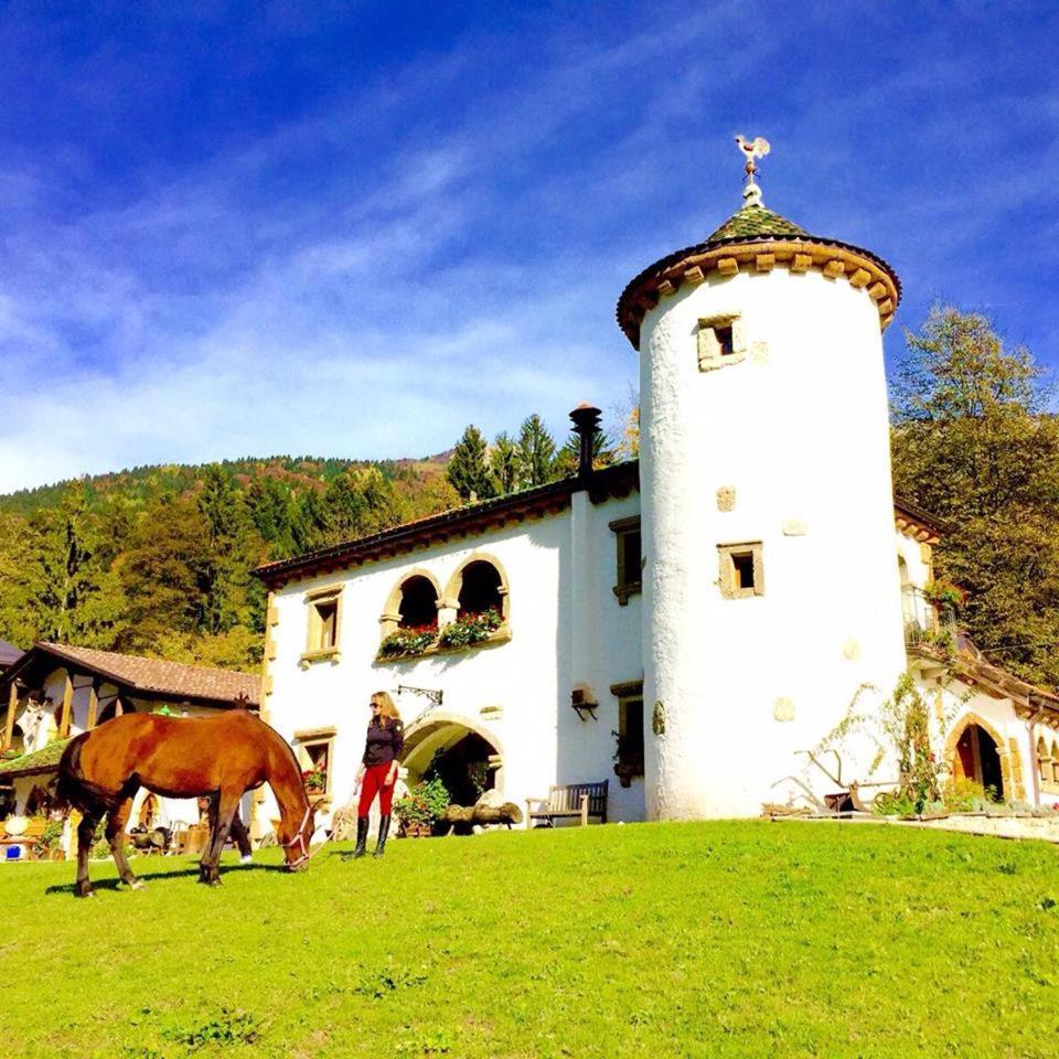 Agriturismo Randis Piano d'Arta Екстер'єр фото